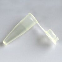 DNA Sexing; Blood in Vial