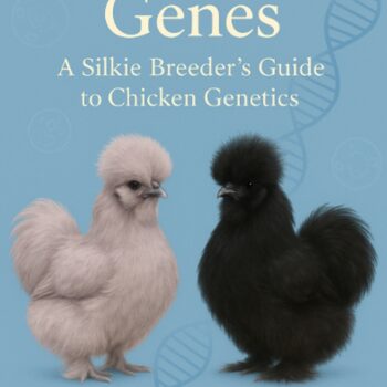 Feathers & Genes: A Silkie Breeder’s Guide to Chicken Genetics By Danielle Lynn Hardy