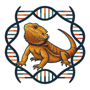 DNA Testing - Bearded Dragons